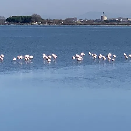 Superbe Marina A Port Camargue Villa Le Grau-du-Roi
